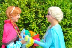 Party Entertainment - Disney Princesses